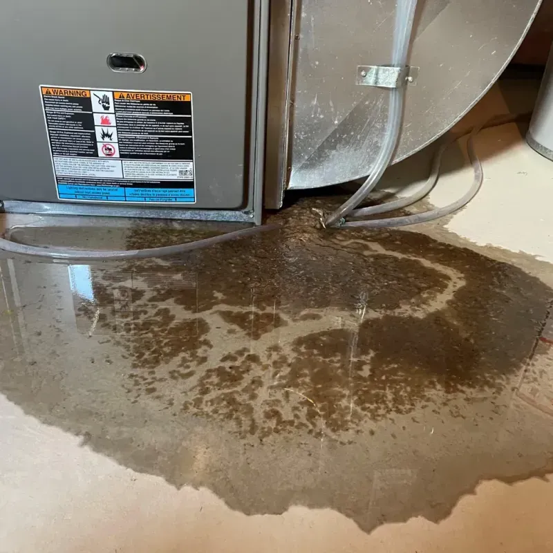 Appliance Leak Cleanup in Saint Albans, WV